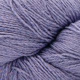 23 Aster Purple