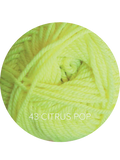 43 Citrus Pop