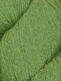 105 Wasabi