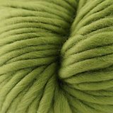 0080 Turtle Green