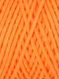 1023 Persimmon