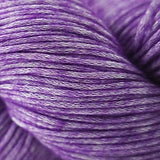 21 Plum