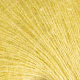 34131 Cornsilk