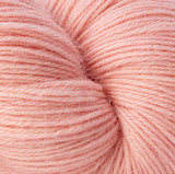 5804 Apricot Ice