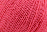 Deluxe Worsted Superwash